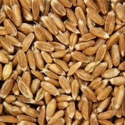 Doudou Bouillotte Efie® Grains Epeautre Vache Coloré 28 Cm - Doudou Bio Naturel Efie -Sigikid Promos Magasin doudou bouillotte efie grains epeautre vache colore doudou bio naturel efie 3