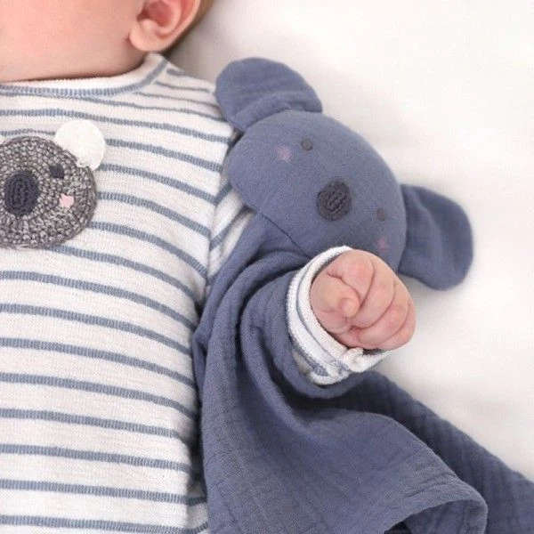 Doudou Lange Mousseline De Coton Bio Koala Albetta® 35cm- Lange 2 Doudou Lange Mousseline De Coton Bio Koala Albetta® 35cm- Lange – Image 2