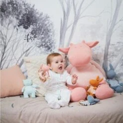 Doudou Peluche Musicale Coton Bio Nouky Menthe Noukie's® - Bébé Bio 13 Doudou Peluche Musicale Coton Bio Nouky Menthe Noukie's® - Bébé Bio -Sigikid Promos Magasin doudou peluche musicale coton bio nouky menthe noukie s bebe bio 5