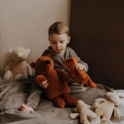 Doudou Peluche Ours Caramel Wooly Organic® Coton Bio 17 Cm - Doudou Bio GOTS -Sigikid Promos Magasin doudou peluche ours caramel wooly organic coton bio 17 cm doudou bio gots 3