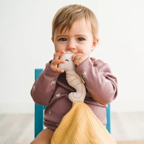 Doudou Plat Lange Coton Bio Hippocampe APunt Barcelona® 30cm - Doudou Bébé Bio 5 Doudou Plat Lange Coton Bio Hippocampe APunt Barcelona® 30cm - Doudou Bébé Bio – Image 5