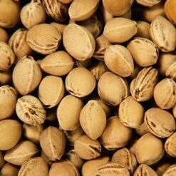 Efie Doudou Bouillotte Noyaux Cerises Hippopotame 32 Cm - Coton Bio -Sigikid Promos Magasin efie doudou bouillotte noyaux cerises hippopotame coton bio 3