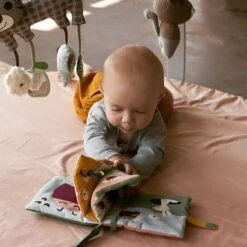 Livre Bébé En Tissu Coccinelle Franck & Fischer® - Livres Bébé -Sigikid Promos Magasin livre bebe en tissu coccinelle franck fischer livres bebe 1 2