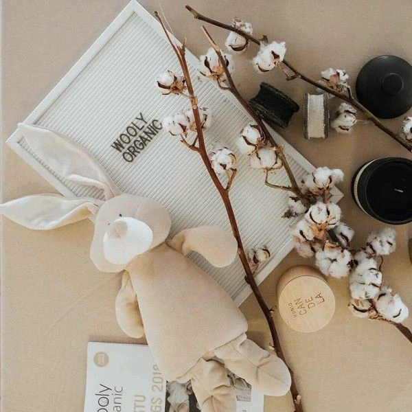 Peluche Lapin Bio 'Bunny'Wooly Organic® Coton Bio Beige 18 Cm - Peluche Bio GOTS 4 Peluche Lapin Bio 'Bunny'Wooly Organic® Coton Bio Beige 18 Cm - Peluche Bio GOTS – Image 4