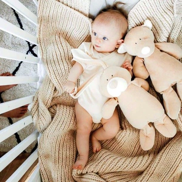 Peluche Ours Bio 'Teddy'Wooly Organic® Coton Bio Beige 29 Cm - Peluche Bio GOTS 2 Peluche Ours Bio 'Teddy'Wooly Organic® Coton Bio Beige 29 Cm - Peluche Bio GOTS – Image 2