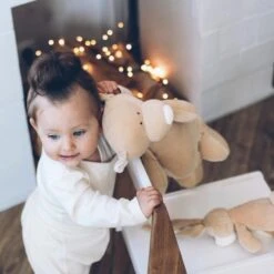 Peluche Ours Bio 'Teddy'Wooly Organic® Coton Bio Beige 29 Cm - Peluche Bio GOTS 6 Peluche Ours Bio 'Teddy'Wooly Organic® Coton Bio Beige 29 Cm - Peluche Bio GOTS -Sigikid Promos Magasin peluche ours bio teddy wooly organic coton bio beige 29 cm peluche bio gots 2