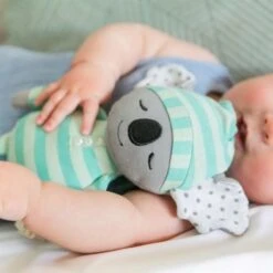 Petite Peluche Attache Sucette Organic Farm Buddies Koala Kozy 22cm Coton Bio - Jouets Bio Apple Park™ -Sigikid Promos Magasin petite peluche attache sucette organic farm buddies koala kozy coton bio 2