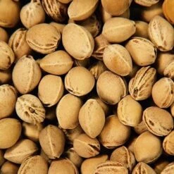 Poupée Bouillotte CerisesTissu Éponge & Robe BlancheBonnet Rayé 28 Cm Efie® Coton Bio - Poupée Naturel Efie -Sigikid Promos Magasin poupee bouillotte cerises tissu eponge robe blanche bonnet raye efie coton bio poupee naturel efie 3