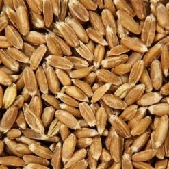 Poupée Bouillotte Épeautre Tissu Éponge & Robe Blanche Bonnet Rayé 28 Cm Efie® Coton Bio - Poupée Naturel Efie 8 Poupée Bouillotte Épeautre Tissu Éponge & Robe Blanche Bonnet Rayé 28 Cm Efie® Coton Bio - Poupée Naturel Efie -Sigikid Promos Magasin poupee bouillotte epeautre tissu eponge robe blanche efie coton bio poupee naturel efie 3